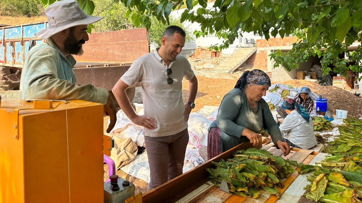 DEM Parti'li Coşkun’dan Adıyamanlı tütün üreticilerine destek çağrısı  - Videolu Haber